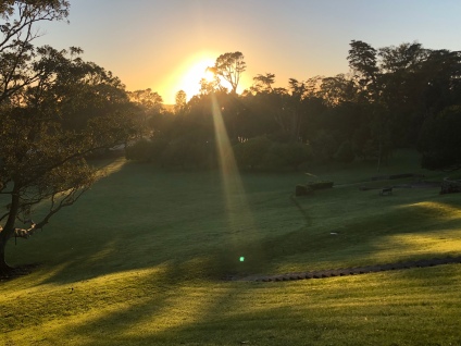 A quick change of location and here is th sunrise over Cornwall Park